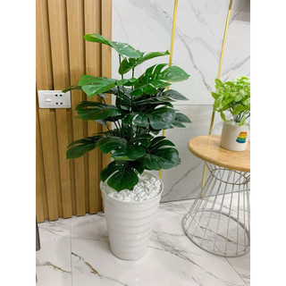 cây giả_ cây trầu bà nhân tạo cao 70cm. cây giả trang trí nhà cửa và nơi làm việc