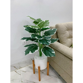 cây giả_ cây trầu bà nhân tạo cao 70cm. cây giả trang trí nhà cửa và nơi làm việc