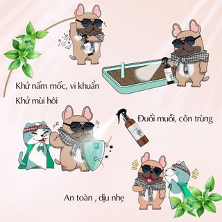 Xịt khử khuẩn siêu nano ECOPETS, khử mùi hôi, vệ sinh chuồng trại cho chó mèo - 100ml và 500ml