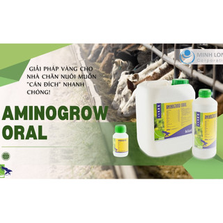 Thuốc thú y Interchemie AMINOGROW ORAL giúp tăng trọng, vỗ béo bổ sung axit amin cho gia cầm gia súc