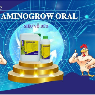 Thuốc thú y Interchemie AMINOGROW ORAL giúp tăng trọng, vỗ béo bổ sung axit amin cho gia cầm gia súc