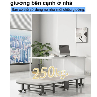 Panda Giường gấp ngả lưng cho người bạn ngủ trưa văn phòng giảm giá 50%