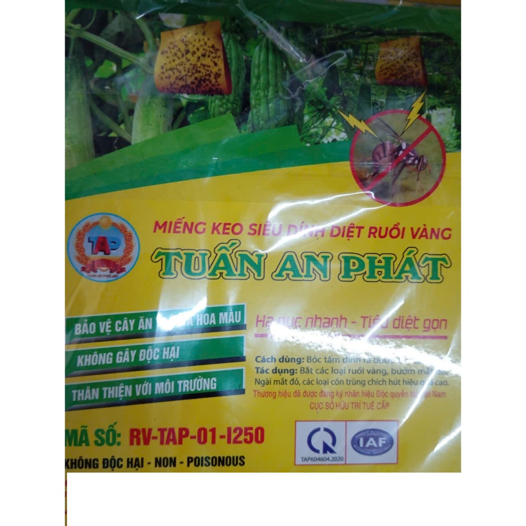 MIẾNG KEO SIÊU DÍNH DIỆT RUỒI VÀNG - BẢO VỆ TRÁI CÂY KHÔNG BỊ ĐỤC QUẢ