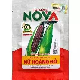 HẠT GIỐNG BẮP ĐỎ NỮ HOÀNG ( BẮP TÍM) - CHÍNH HÃNG NOVA ( DATE MỚI NHẤT)