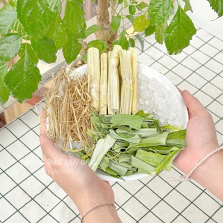 Trà rễ tranh mía lau lá nếp, sâm mía lau, set nấu 3-4 lít nước, trà giải khát, thanh nhiệt