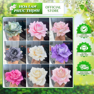 Combo 5 bông hồng in gân vải lụa cao cấp - trang trí hộp quà, bát hoa, văn phòng, nhà ở, cà phê, sự kiện