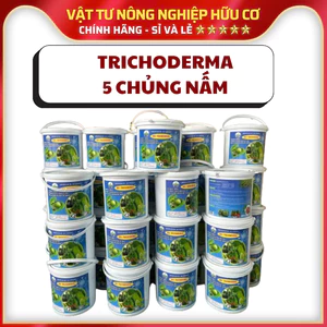 NẤM TRICHODERMA 5 CHỦNG Mật Độ Cao, Bột Hòa Tan - Thùng 2 kg