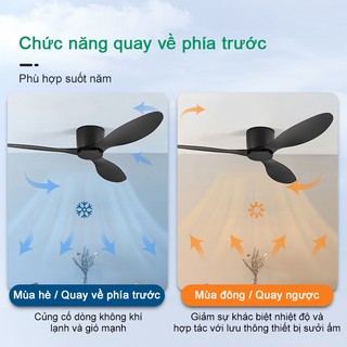 Quạt trần 3 cánh đèn quạt trần lắp đặt cho nhà mới cho nhà hàng, quán cà phê, hiệu sách, căn hộ