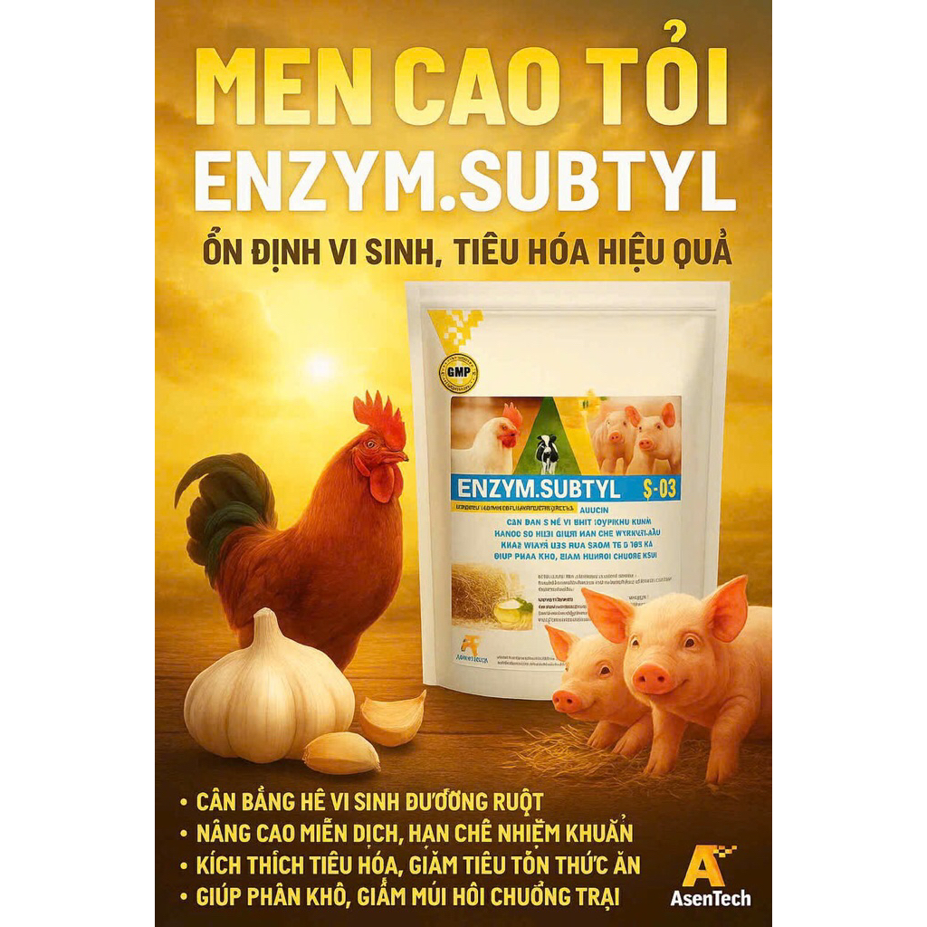 MEN CAO TỎI ENZYM.SUBTYL (100g) Ổn định vi sinh- Tiêu hoá hiệu quả ...