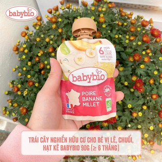 Trái cây nghiền hữu cơ cho bé vị lê, chuối, hạt kê Babybio 90g (≥ 6 tháng)