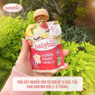 Trái cây nghiền hữu cơ cho bé Babybio 90g (từ 6 tháng tuổi)