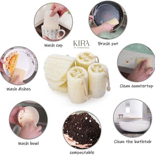 Xơ mướp tắm tẩy da chết tự nhiên | Bông tắm xơ mướp spa tại nhà | Dùng rửa chén, vệ sinh đa năng