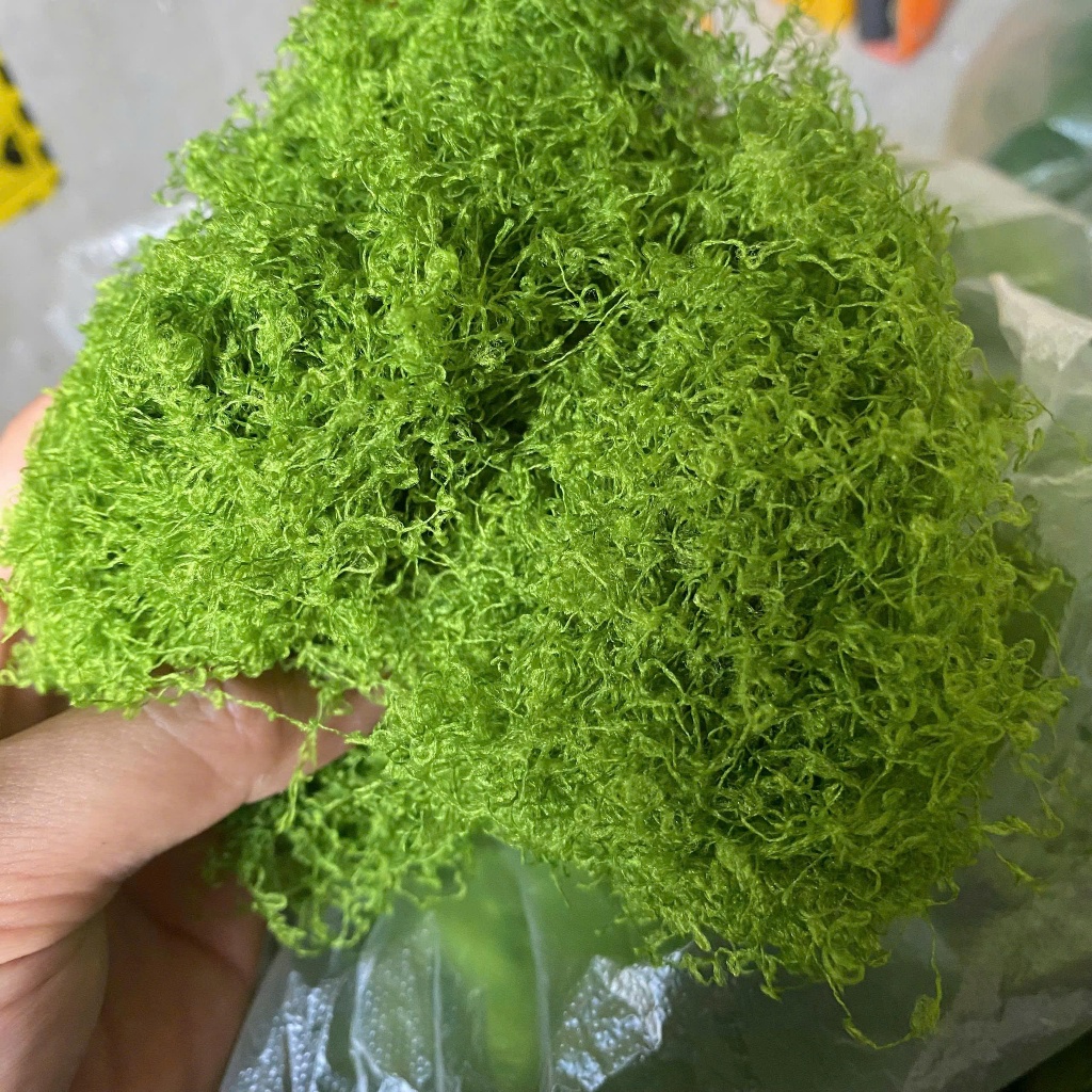 [Combo 0,5kg - 1kg] Rêu giả trang trí gốc cây, rêu terrarium, rêu nhung decor tiểu cảnh dạng sợi