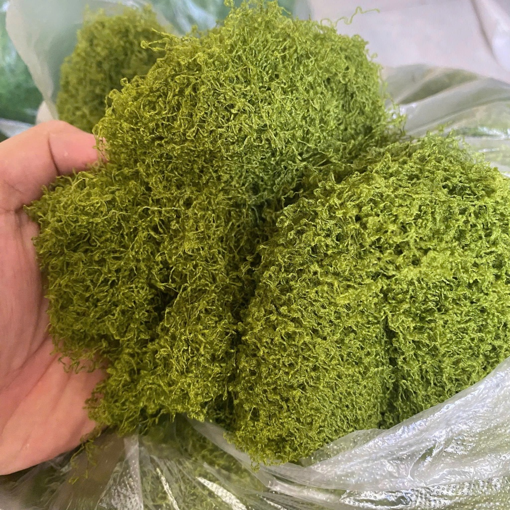 [Combo 0,5kg - 1kg] Rêu giả trang trí gốc cây, rêu terrarium, rêu nhung decor tiểu cảnh dạng sợi