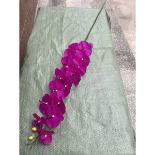 lan  cao su ướt 15 bông thân đốm , cành dài 140cm hàng cao cấp