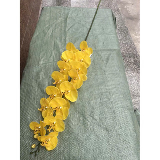 lan  cao su ướt 15 bông thân đốm , cành dài 140cm hàng cao cấp