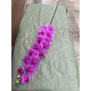 lan  cao su ướt 15 bông thân đốm , cành dài 140cm hàng cao cấp