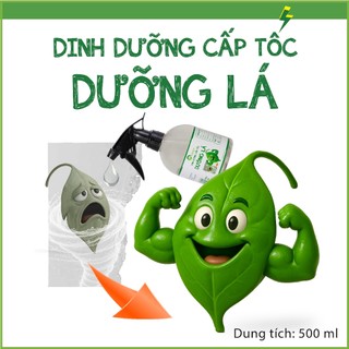 Nhà Thương Cây - Can DƯỠNG LÁ dinh dưỡng cấp tốc (Can 5L - 10L)