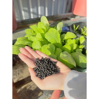 Đạm Cá ABIO FISH Hữu Cơ Ra Rễ To Lá Phục Hồi Cây