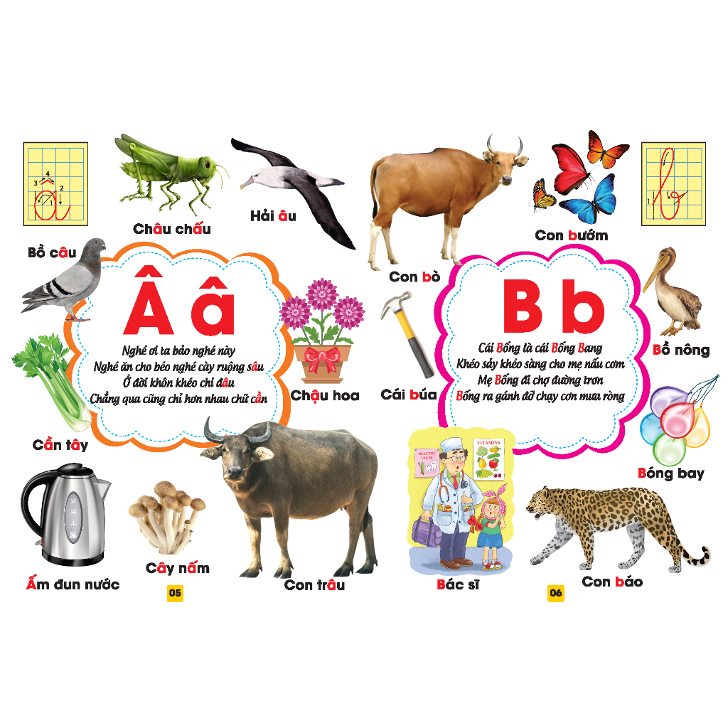 Sách - Combo Trọn Bộ 4 Cuốn Từ Điển Bằng Tranh