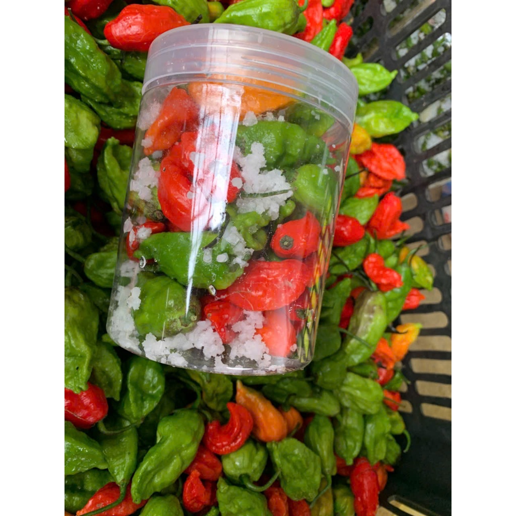 Ớt Trung Đoàn Mường Tè Lai Châu siêu cay Sóc Muối 250gram