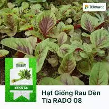 HẠT GIỐNG RAU DỀN TÍA RADO 08 - CHÍNH HÃNG RẠNG ĐÔNG ( DATE MỚI NHẤT)