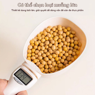 Cân trọng lượng thìa điện tử Cân trọng lượng nhà bếp kỹ thuật số 800g / 0.1g Đo thìa nướng thìa