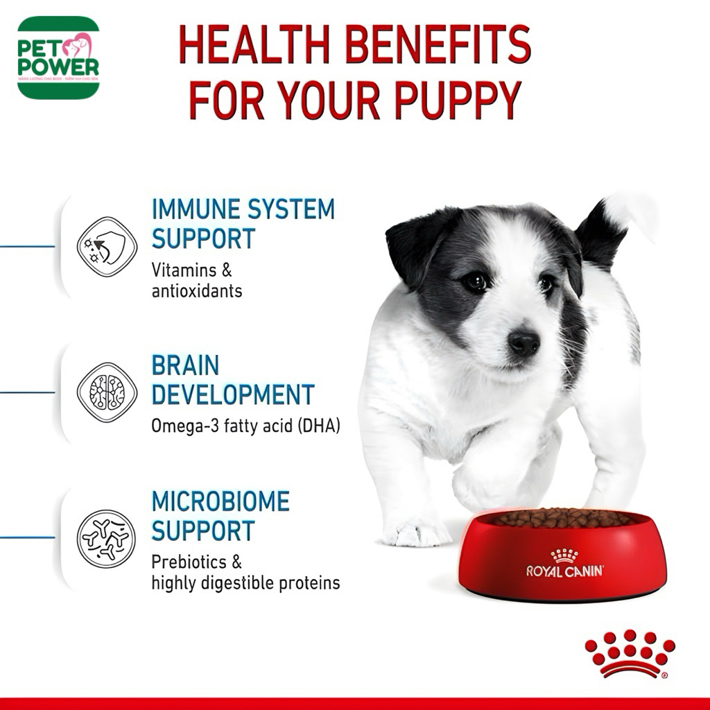 Thức Ăn Hạt Khô Cho Giống Chó Nhỏ Royal Canin Puppy Mini / Adult Mini