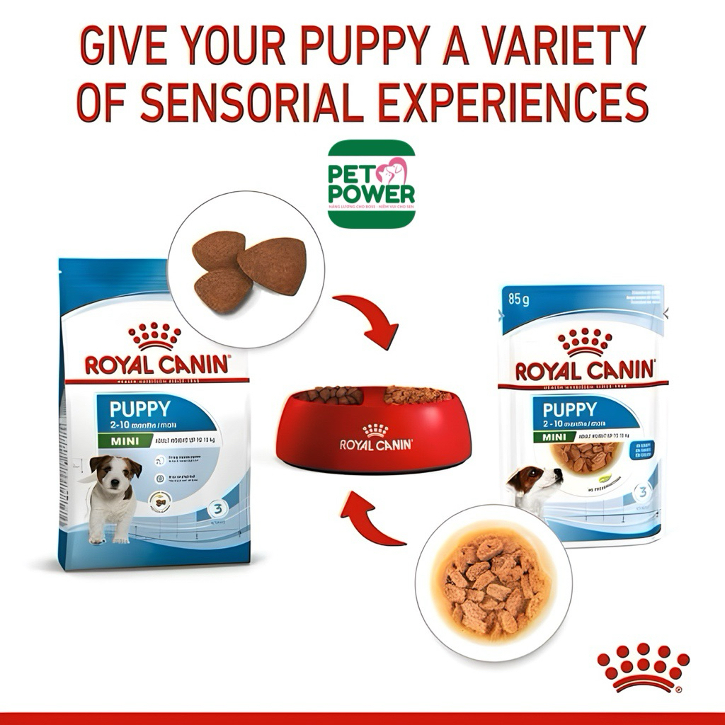 Thức Ăn Hạt Khô Cho Giống Chó Nhỏ Royal Canin Puppy Mini / Adult Mini