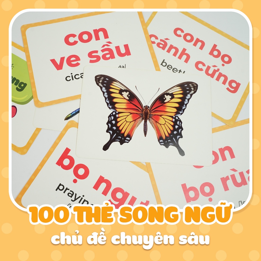 Thẻ học thông minh cho bé LalaLingo thẻ Flashcard song ngữ Anh Việt giáo dục sớm Lalala baby