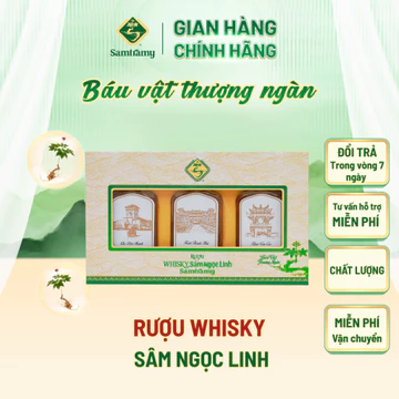 Combo 3 Chai Rượu Whisky Sâm Ngọc Linh Trà My - Chai 100ml - Quà tặng cao cấp - Quà tặng doanh nghiệp - Quà biếu