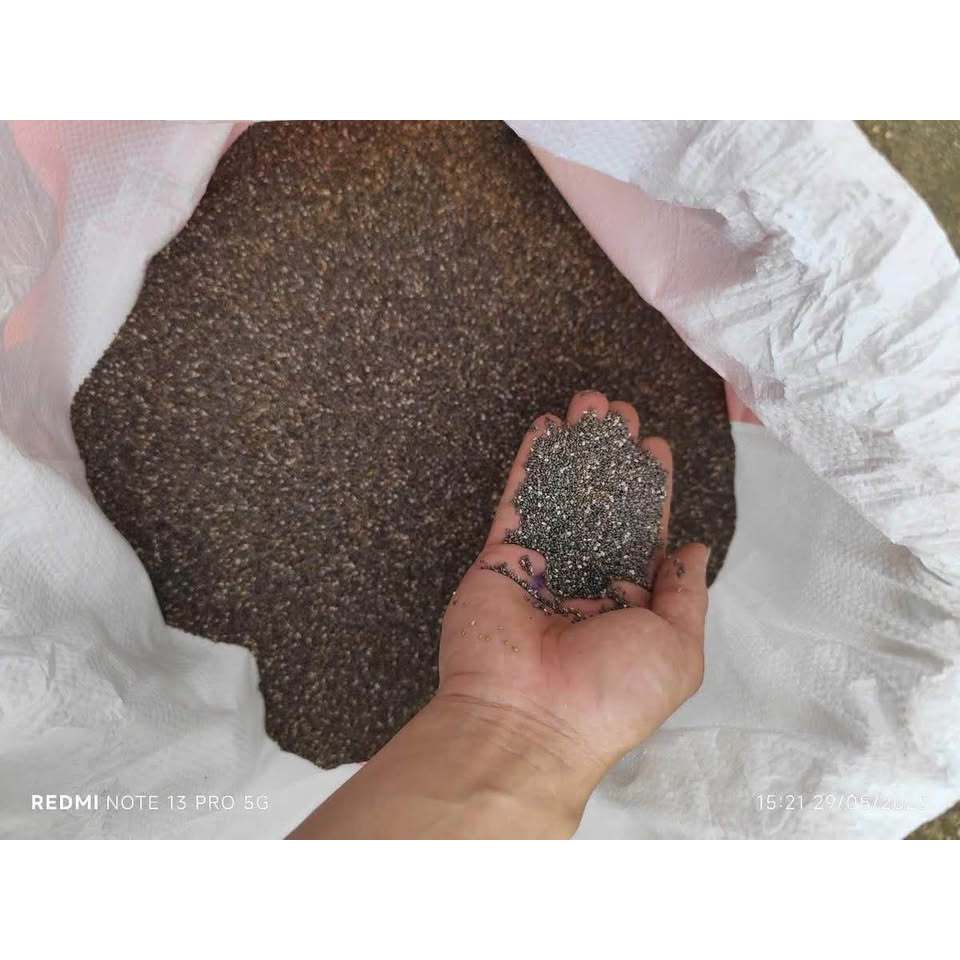 Hạt Chia ChicoChia -  Nguồn Dinh Dưỡng Cho Sức Khoẻ Vàng
