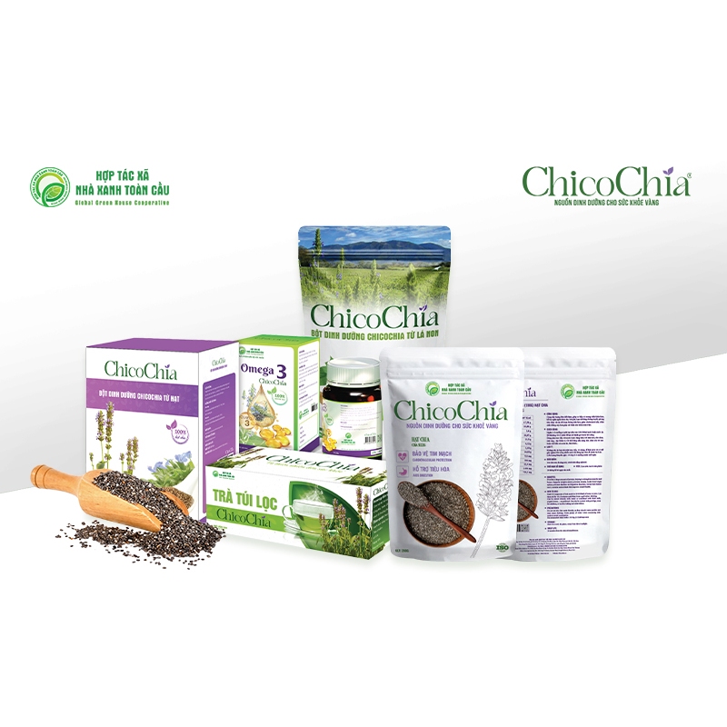 Hạt Chia ChicoChia -  Nguồn Dinh Dưỡng Cho Sức Khoẻ Vàng