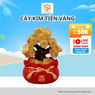 Cây Kim Tiền Vàng Mô Hình, Cây Vàng May Mắn Cây Tài Lộc Trang Trí Bàn Làm Việc Chậu Cây Phong Thủy Phát Tài Cam Homeware