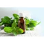 TINH DẦU BẠC HÀ (PEPPERMINT) 50mL 100mL