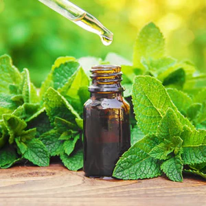 TINH DẦU BẠC HÀ (PEPPERMINT) 50mL 100mL