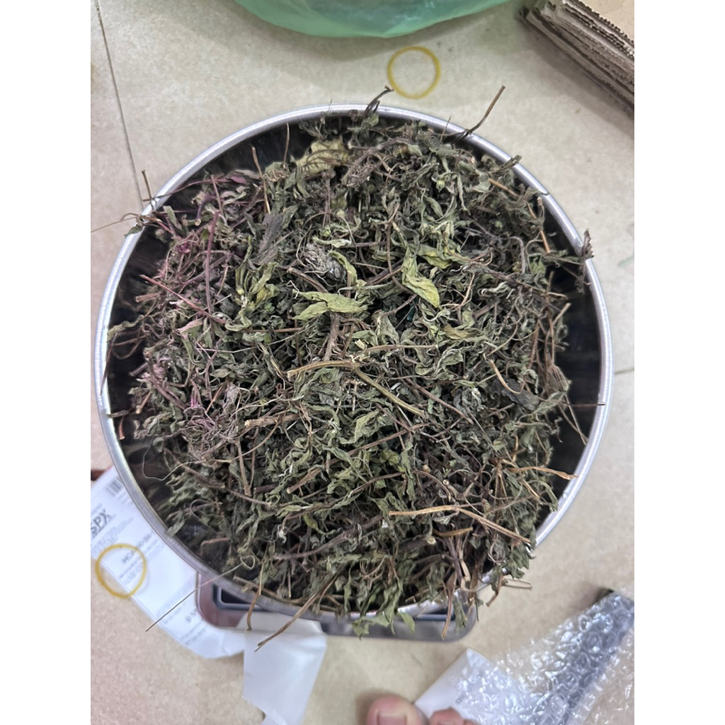 Cây Cỏ Mực Nhọ Nồi Khô Sạch, Giúp Đen Tóc, Kích Thích Mọc Tóc, Chống Rụng Tóc