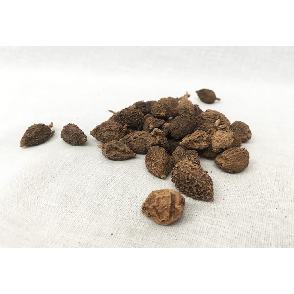 Sa Nhân Khô 100G, Sạch, Tốt Cho Tiêu Hoá