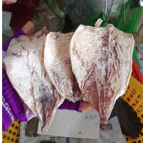 Mực Khô Size Lớn – Gói 500g Mực Dày, Nướng Thơm, Gọn Đẹp