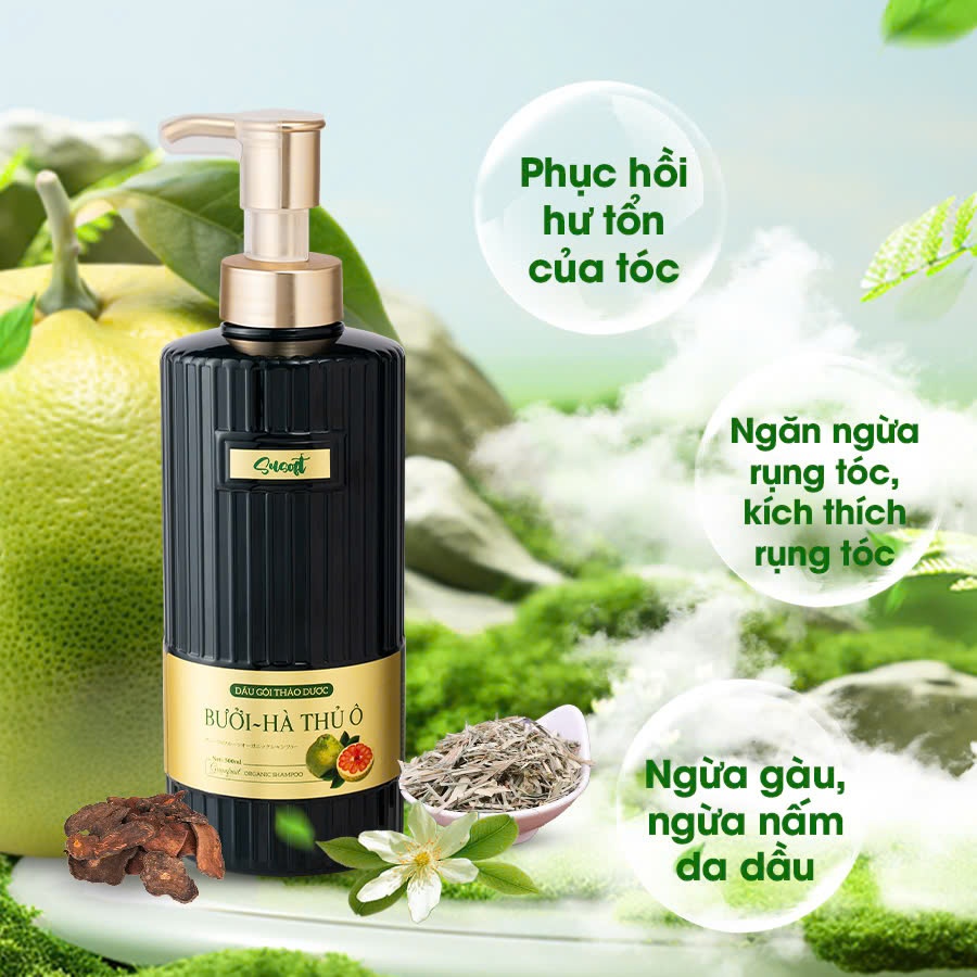 Dầu XẢ Bưởi Hà Thủ Ô Susoft – Giảm Rụng, Mọc Tóc, Dưỡng Tóc Suôn Mượt - 500ml