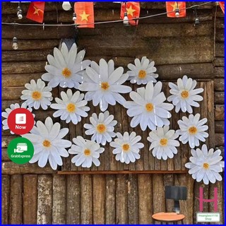 Hoa cúc hoạ mi decor khổng lồ hottrend 2025 các size gắn tường trang trí shop,quán cafe,lớp học,phòng live..{H}