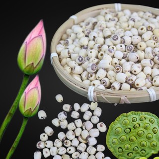 Hạt sen sấy khô túi zip tiện lợi – hạt dinh dưỡng an toàn, tốt cho sức khỏe