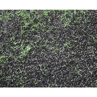 [LÊN MẦM 90%] - Hạt giống cỏ thảm Bermuda trồng sân vườn