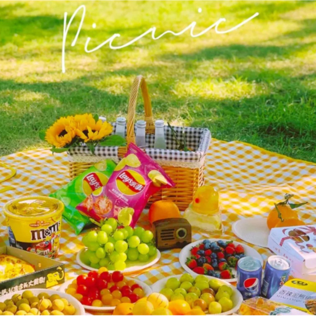 Thảm dã ngoại picnic chống thấm nước gấp gọn dã ngoại du lịch