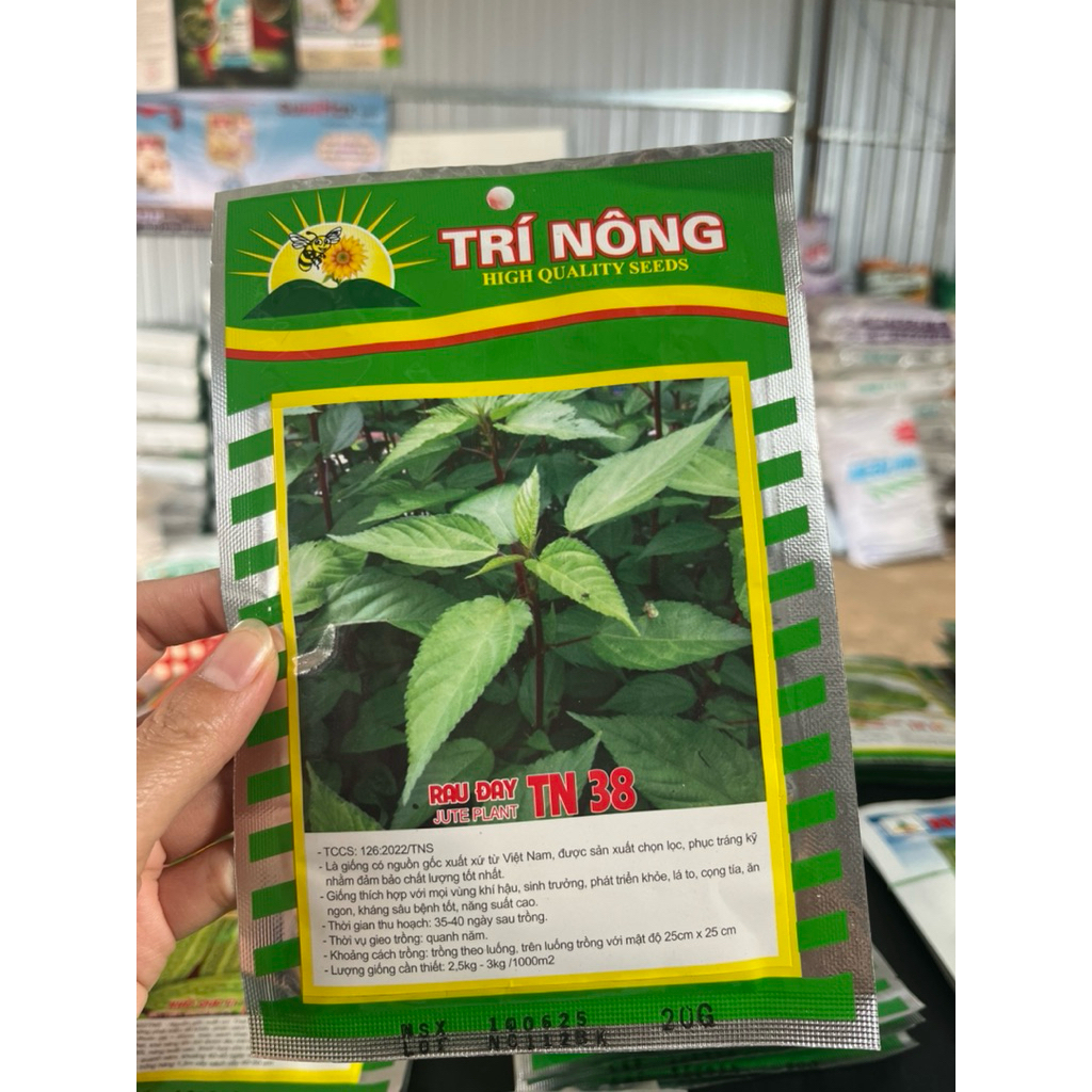 Hạt Giống Rau Đà Lạt