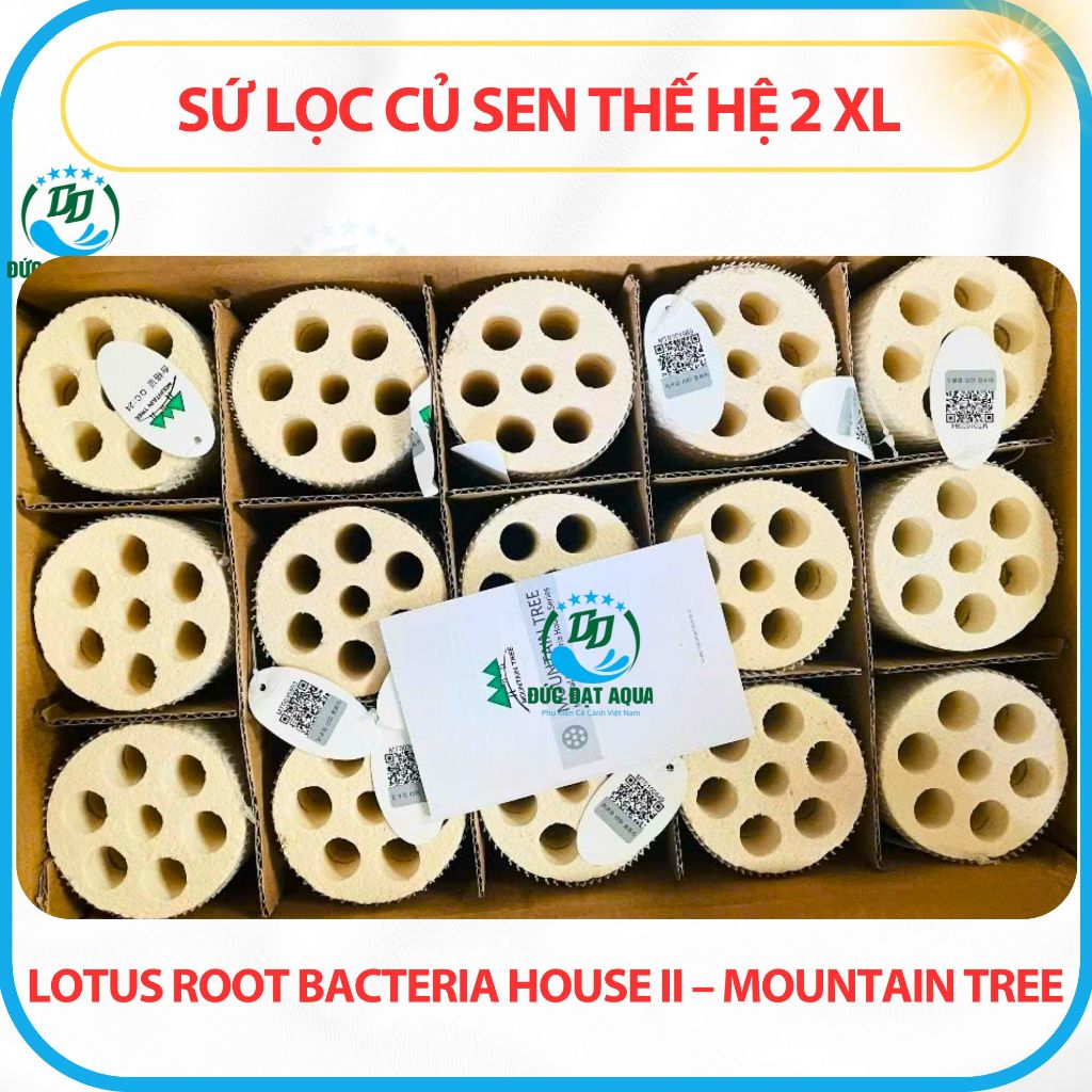 Sứ Củ Sen Thế Hệ 2 XL 8x25cm Những ưu điểm nổi trội của sứ củ sen Lotus Root Bacteria House II 8