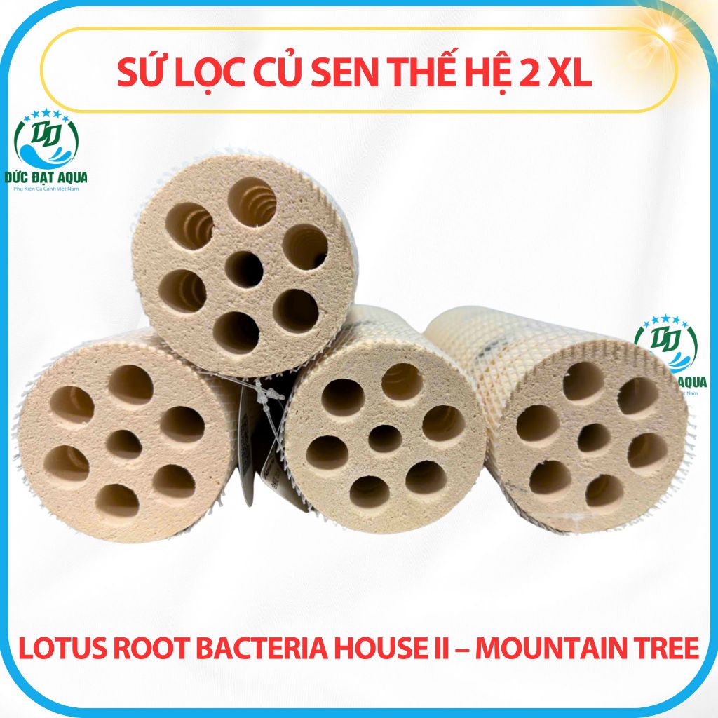 Sứ Củ Sen Thế Hệ 2 XL 8x25cm Những ưu điểm nổi trội của sứ củ sen Lotus Root Bacteria House II 2