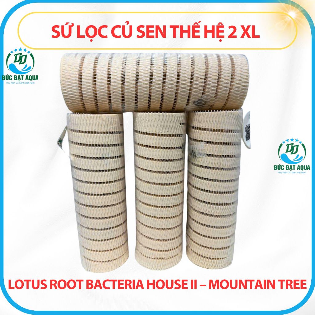 Sứ Củ Sen Thế Hệ 2 XL 8x25cm Những ưu điểm nổi trội của sứ củ sen Lotus Root Bacteria House II 6