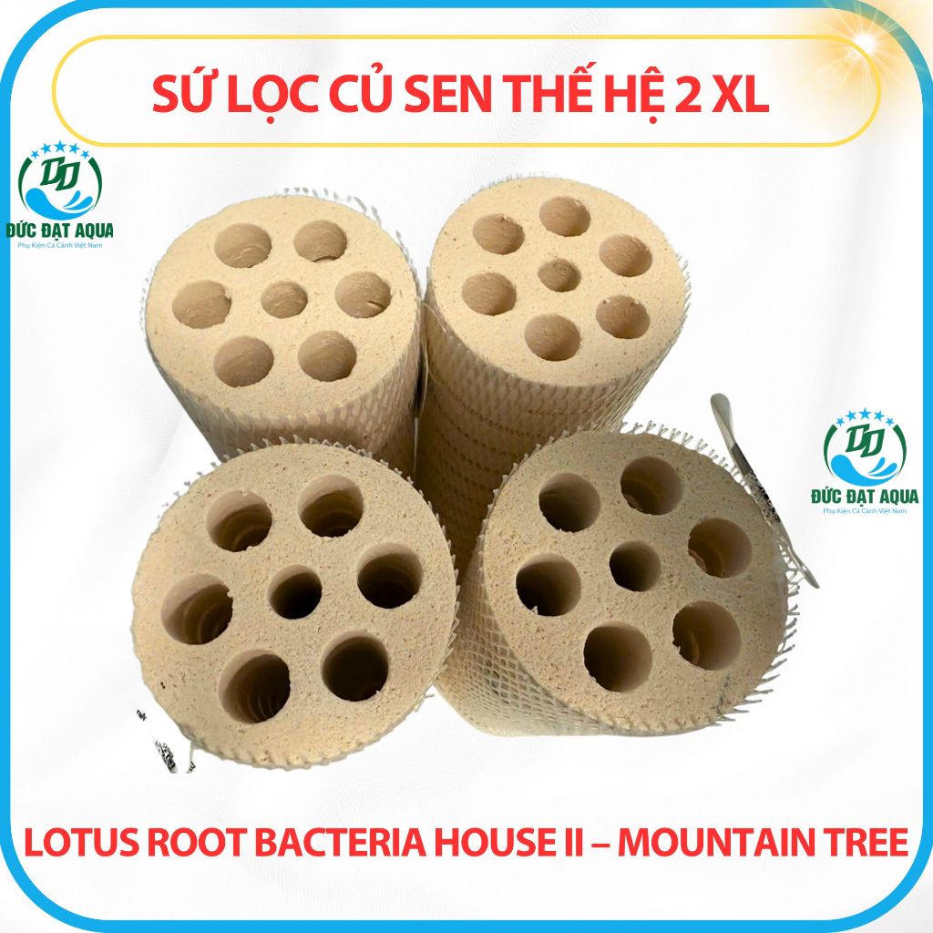 Sứ Củ Sen Thế Hệ 2 XL 8x25cm Những ưu điểm nổi trội của sứ củ sen Lotus Root Bacteria House II 3