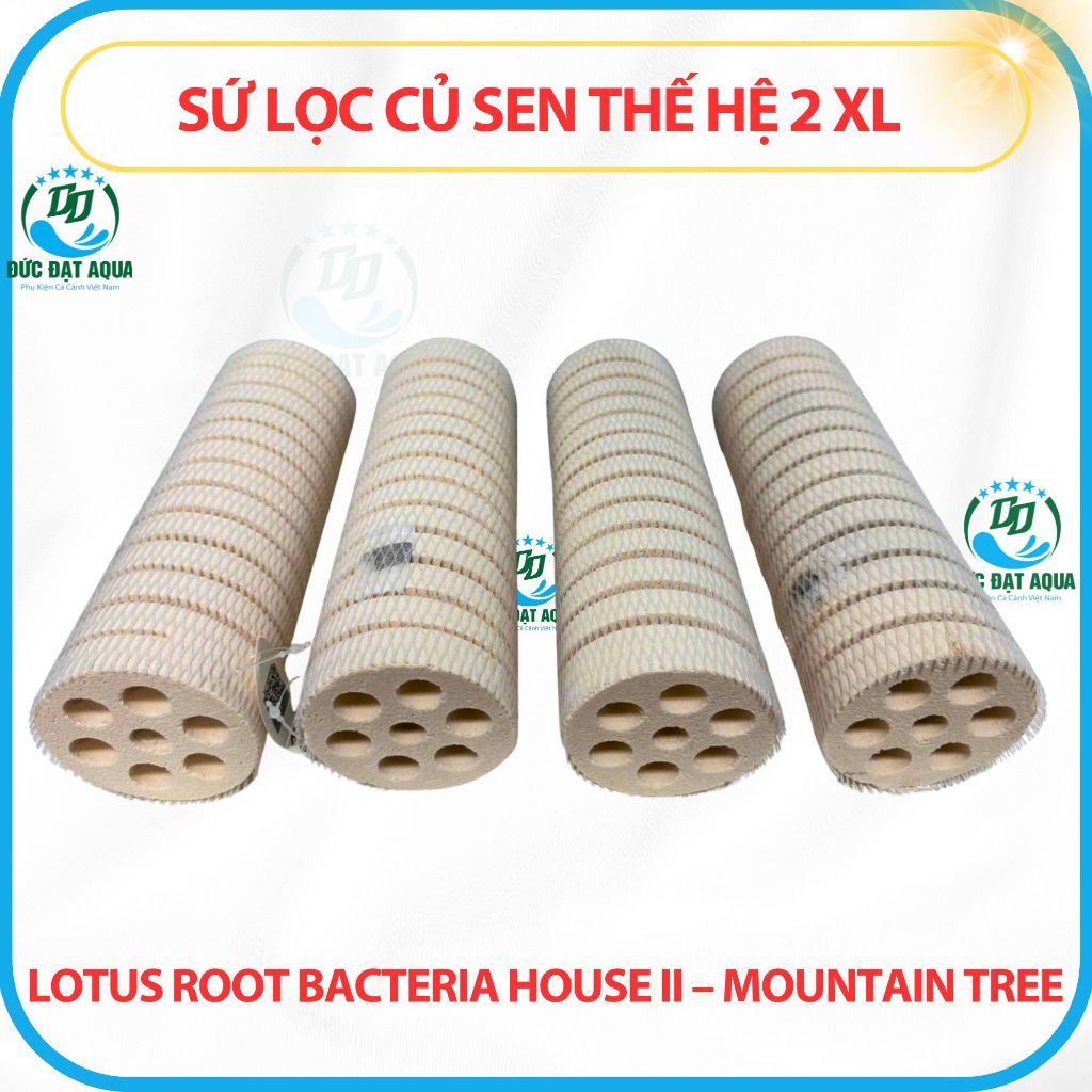 Sứ Củ Sen Thế Hệ 2 XL 8x25cm Những ưu điểm nổi trội của sứ củ sen Lotus Root Bacteria House II 5